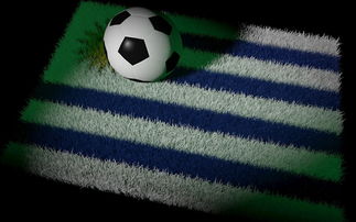 开云体育登录入口-世界杯预选赛中国队晋级 球员发挥稳定，世界杯预选赛中国队的成绩  第3张