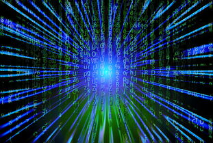 开云体育下载-新加坡队未来之路：如何在全球乒乓赛事中争夺更多荣誉，新加坡乒乓球厉害吗